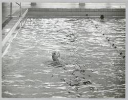 o.T., Schwimmer im Becken eines Hallenbades