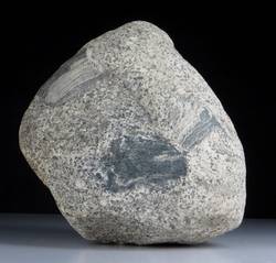 Granit mit Xenolithen