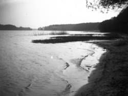 Ufer am Tegeler See;