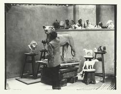 August Gaul vor einer Löwinnen-Plastik in seinem Atelier