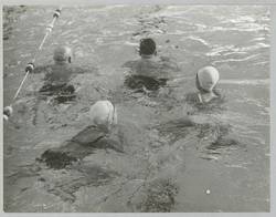 o.T., Vier Schwimmende im Becken eines Hallenbades