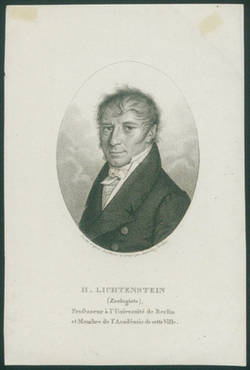 H. Lichtenstein/(Zoologiste),/Professeur à l´Université de Berlin/et Membre de l´Académie de cette Ville.
