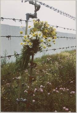 o.T., Wiesenblumenstrauß am Grenz-Signalzaun