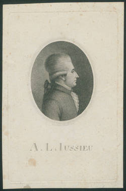 A.L. Jussieu