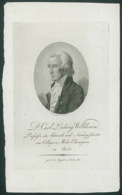 D. Carl Ludwig Willdenow;