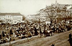 Wochenmarkt auf dem  Alexanderplatz