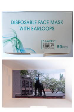 "Disposable Face Mask"