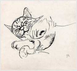 Katze, schlafend, o.J. (zw. 1908-1914);