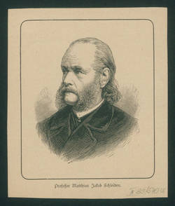 Professor Matthias Jacob Schleiden