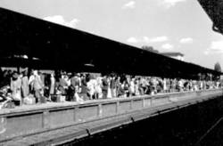 Gedränge auf dem Fernbahnhof Wannsee/Hamsterfahrten bestimmten den Nachkriegsalltag.