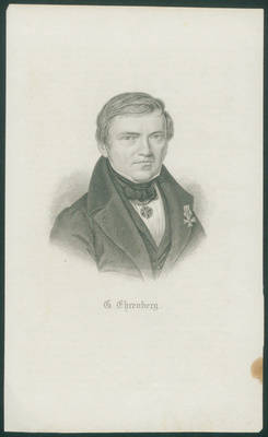C. Ehrenberg.