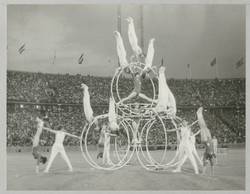 "Abendliche Großveranstaltung im Olympiastadion". Turnfest 1968. Rhönrad