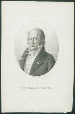 Geoffroy-S.T-Hilaire;