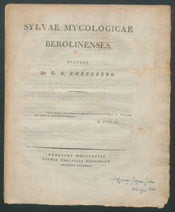 Sylvae mycologicae berolinenses / C.G. Ehrenberg