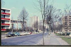 "Hansaviertel Berlin". Blick in eine Straße mit parkenden Autos