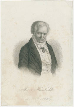 Alex. v. Humboldt.;