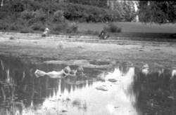 Kinder planschen in der Wasserlache einer Grünanlage