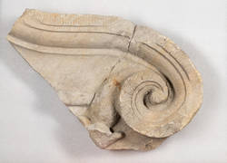 bauplastisches Fragment in Form einer Volute vom Berliner Schloss