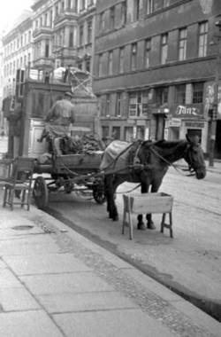 Ein Pferd zieht einen Waagen mit Möbeln auf der Straße.