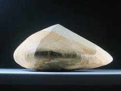 Sandstein mit Eisenverfärbung und Windschliff