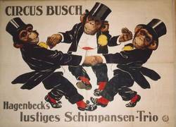 Circus Busch. Hagenbeck's lustiges Schimpansen-Trio