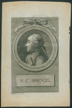 M.C. Sprengel