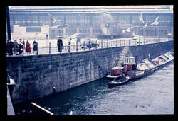 An d. Weidend. Brücke 16.3.58.