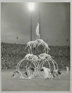 "Abendliche Großveranstaltung im Olympiastadion". Turnfest 1968. Rhönrad