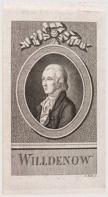 Porträt Carl Ludwig Willdenow