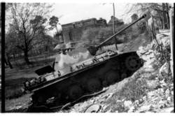 deutsches Panzerwrack Panther