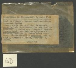 „Trabrennen in Mariendorf, 08.04.1951“