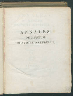 Annales du Muséum d'Histoire...
T.11
Enth.: T.12. - 1808. - 256 S.:23 Taf.