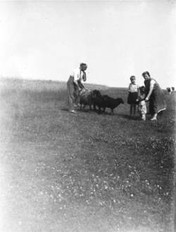 Familie Jonas mit Schafen auf der Weide