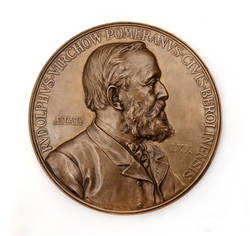 Medaillen auf Rudolph Virchow aus Anlaß seines 70. Geburtstages (2 Ex.) 