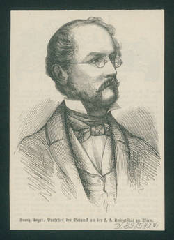 Franz Unger, Professor der Botanik an der k. k. Universität in Wien;