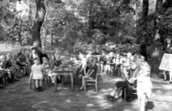 Kindergruppe im Wald, an Tischen und Stühlen sitzend. Möglicherweise Waldschule