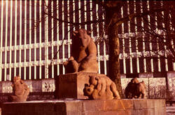 Bärengruppe. Im Hintergrund die Fassade des Ministeriums für auswärtige Angelegenheiten der DDR