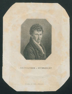Porträt Alexander von Humboldt