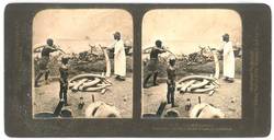 "Nr. 20. Kolonial-Museum. Scene am Victoria Nyansa (Deutsch-Ostafrika)."