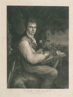 A. von Humboldt;