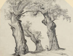 "Frau mit Kiepe unter drei mächtigen Eichenbäumen"