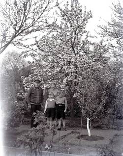 Personengruppe vor blühendem Obstbaum im Berliner Kleingarten (mit Alfred und Berta)