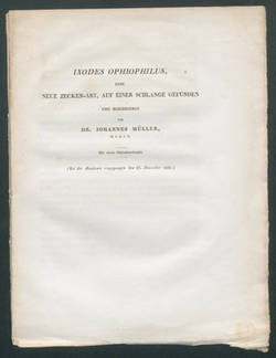 Ixodes ophiophilus, eine neue Zecken-Art, auf einer Schlange gefunden und beschrieben / von Johannes Müller.(Bei der Akademie eingegangen den 27. December 1830).;
