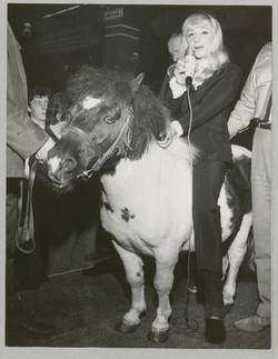 o. T. blonde Frau mit Mikrofon auf einem Pony sitzend auf der Bühne einer Bar inkl. weiterer Personen