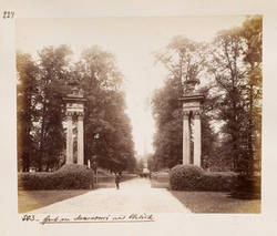 Im Park von Sanssouci mit Blick auf den Obelisk