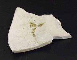 Fragment einer Platte, reliefierter Blumendekor