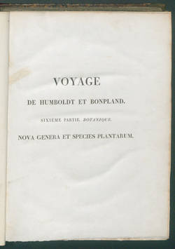 Voyage de Humboldt et Bonpland
6.P. T.4