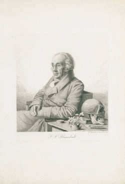 J.F. Blumenbach;