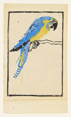 Zeichnung: "Papagei"