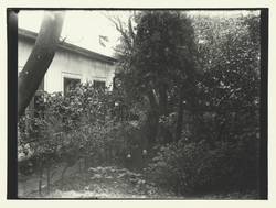 Johann Traugott Zille in seinem Garten